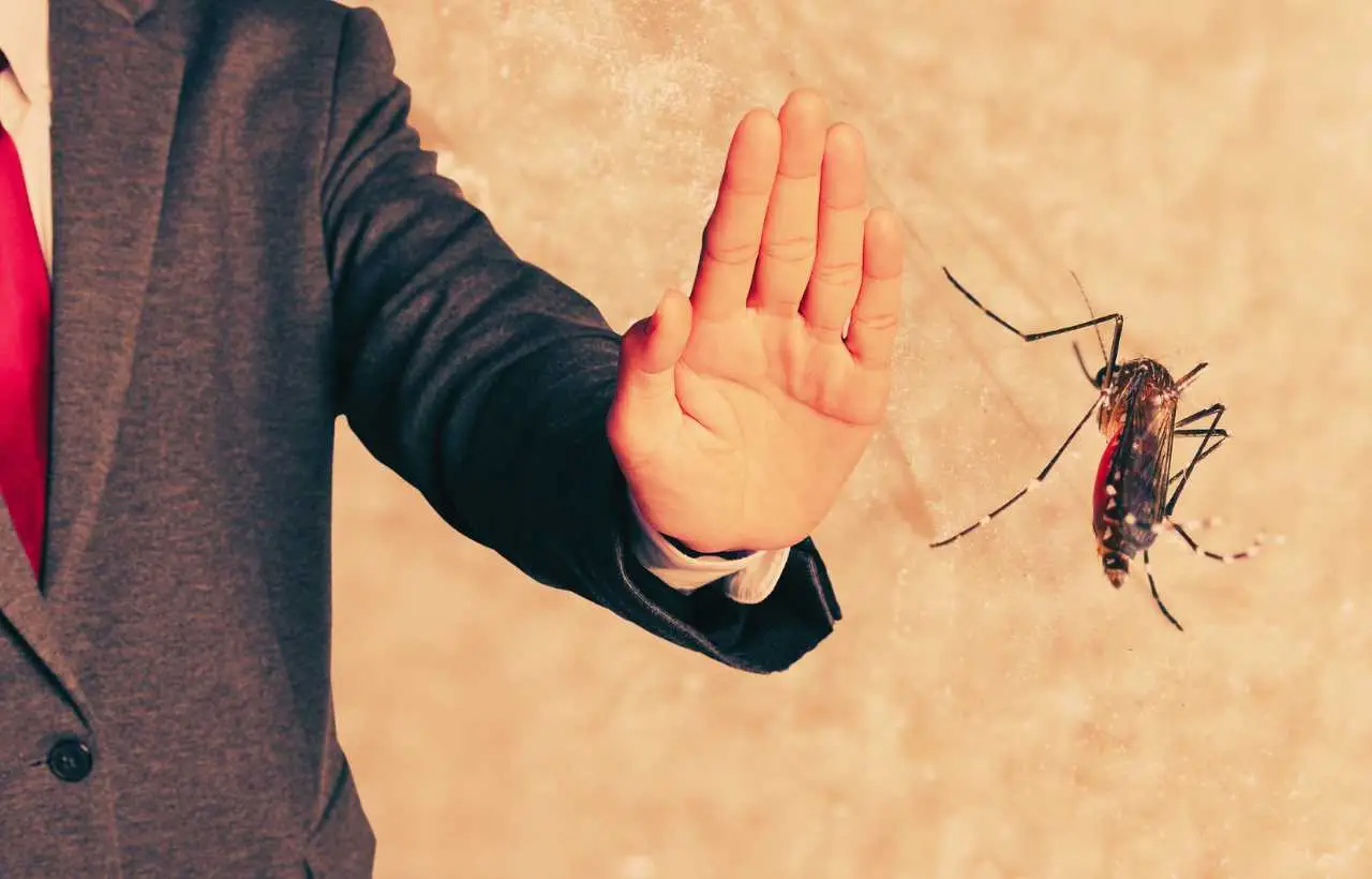 Zanzare sul terrazzo: l’errore che commetti e che le attira ancora di più Zanzare sul terrazzo: l’errore che commetti e che le attira ancora di più