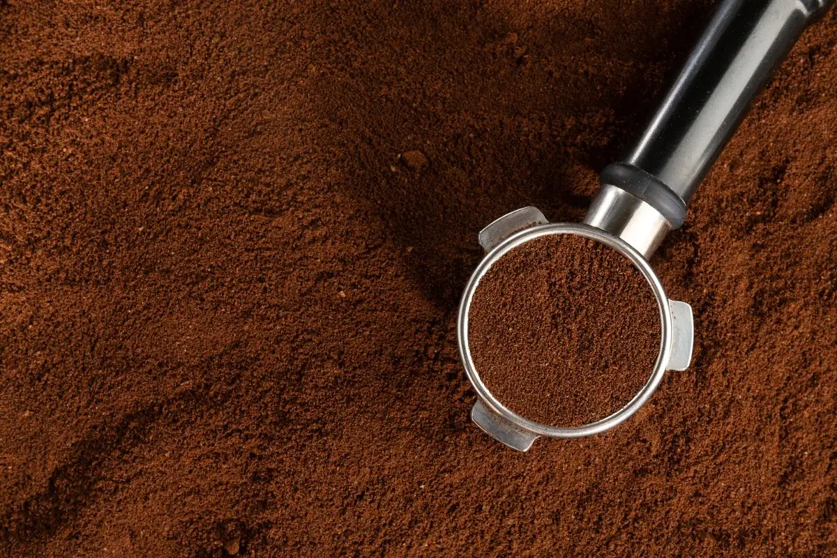 Come usare i fondi di caffè per far fiorire gerani e ortensie Come usare i fondi di caffè per far fiorire gerani e ortensie