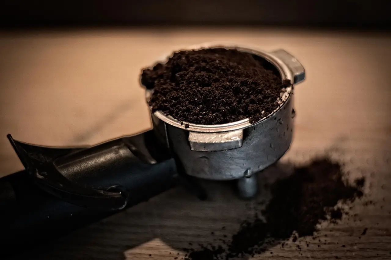 Come usare i fondi di caffè per far fiorire gerani e ortensie Come usare i fondi di caffè per far fiorire gerani e ortensie