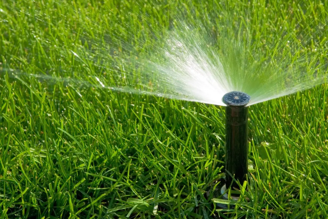 Come irrigare il giardino con poca acqua: il trucco del tubo nascosto Come irrigare il giardino con poca acqua: il trucco del tubo nascosto