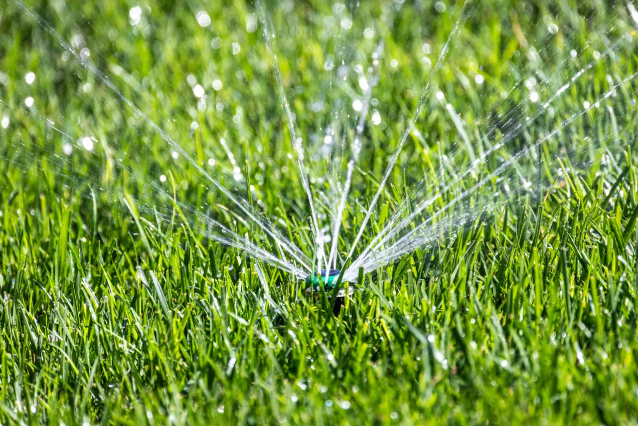 Come irrigare il giardino con poca acqua: il trucco del tubo nascosto Come irrigare il giardino con poca acqua: il trucco del tubo nascosto
