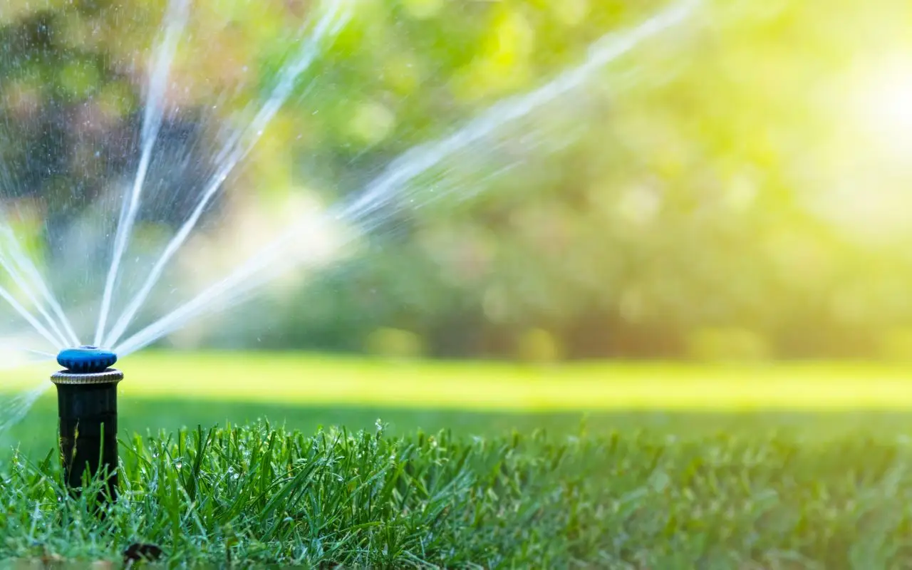 Come irrigare il giardino con poca acqua: il trucco del tubo nascosto Come irrigare il giardino con poca acqua: il trucco del tubo nascosto