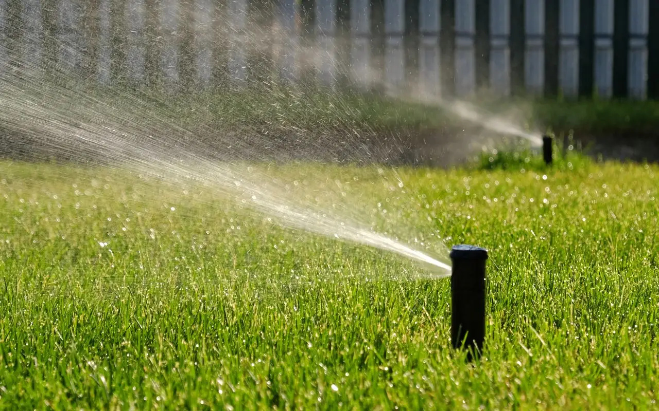 Come irrigare il giardino con poca acqua: il trucco del tubo nascosto Come irrigare il giardino con poca acqua: il trucco del tubo nascosto
