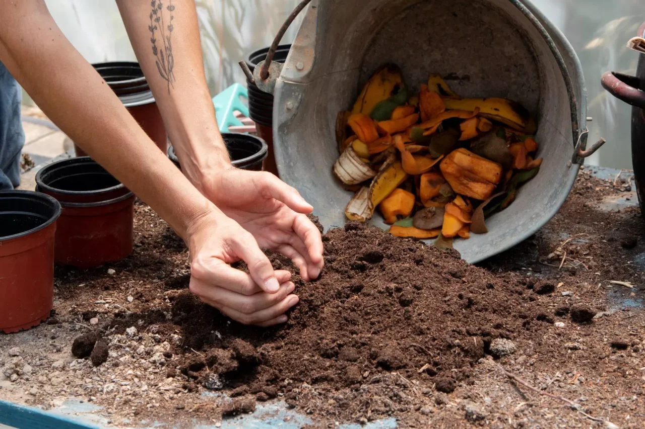 Come concimare le piante da balcone in modo naturale ogni 15 giorni Come concimare le piante da balcone in modo naturale ogni 15 giorni
