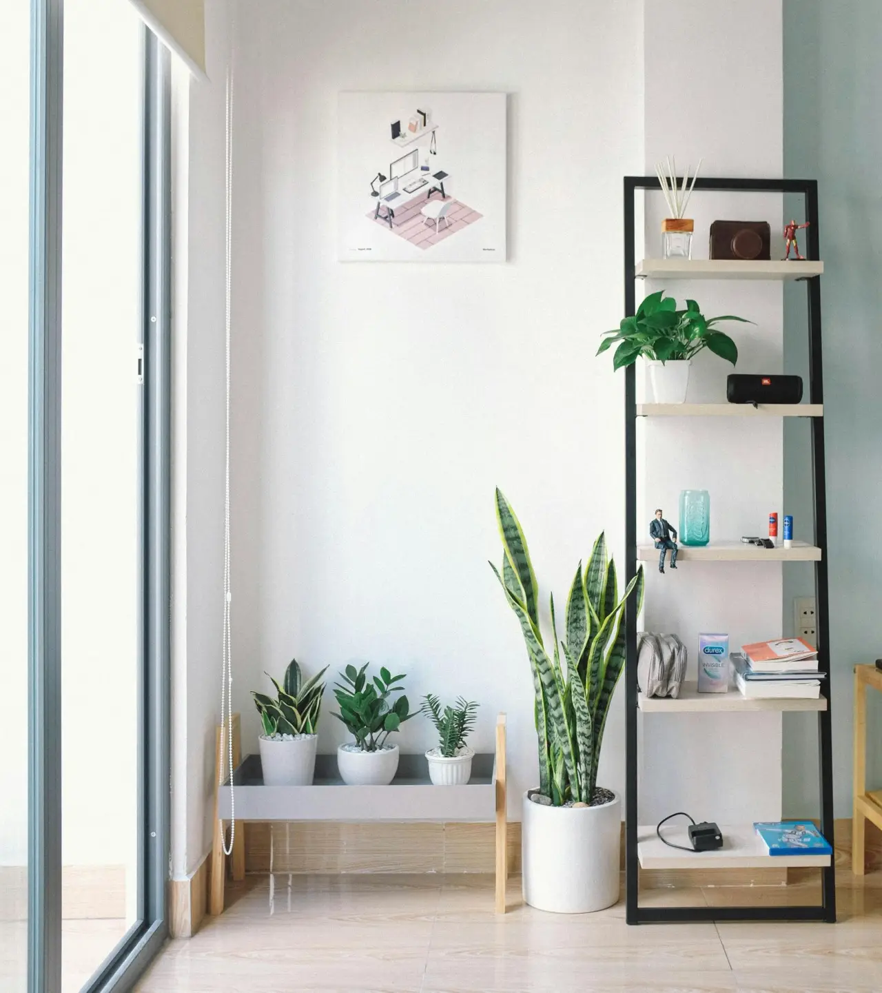 Come profumare l’ingresso di casa con piante ornamentali: i consigli dei paesaggisti per l’estate Come profumare l’ingresso di casa con piante ornamentali: i consigli dei paesaggisti per l’estate