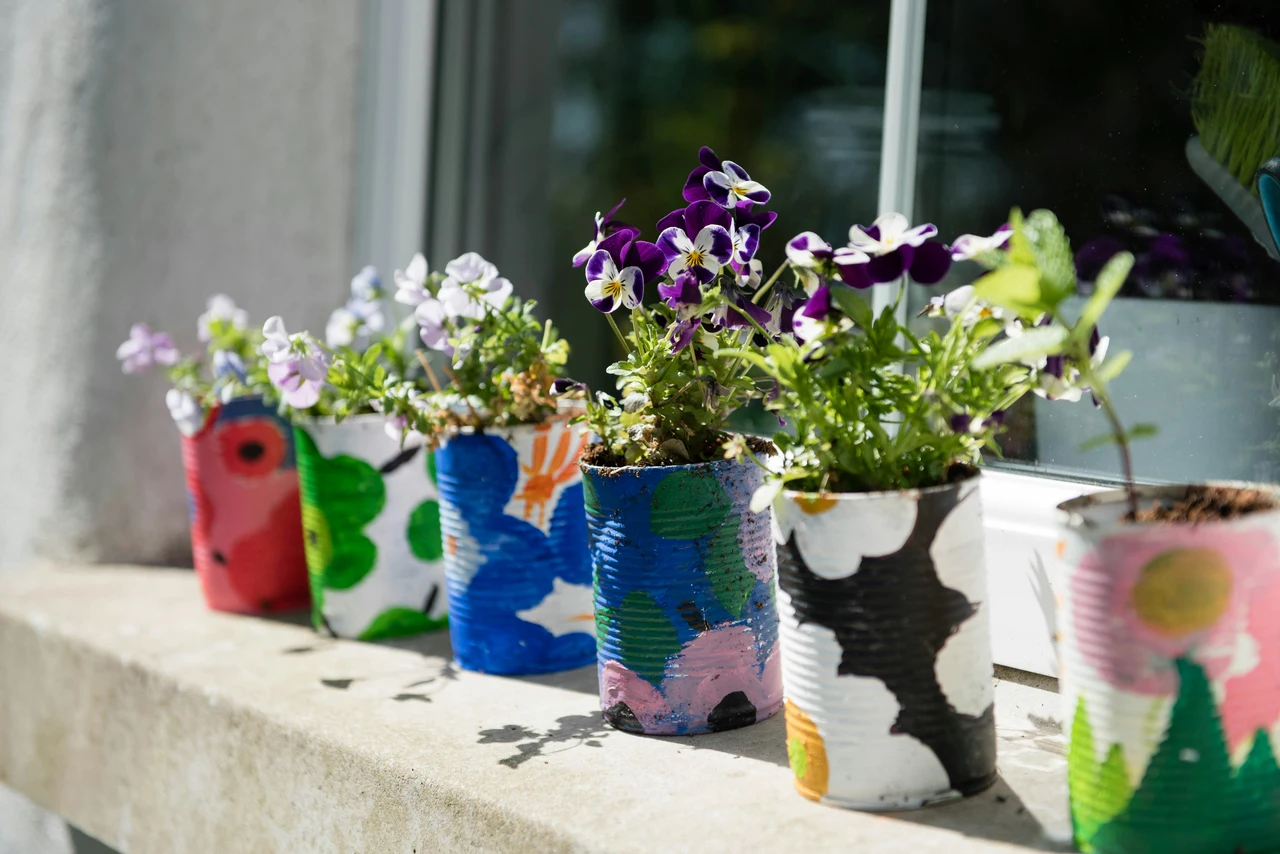 5 trucchi per ridurre subito l’umidità nei vasi a giugno: la soluzione dei botanici per balconi sani 5 trucchi per ridurre subito l’umidità nei vasi a giugno: la soluzione dei botanici per balconi sani