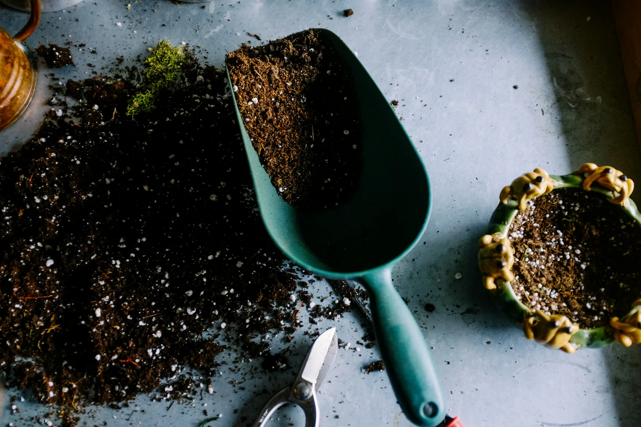 5 strategie per proteggere le radici delle piante dal caldo estivo: la guida degli agronomi per vasi esposti 5 strategie per proteggere le radici delle piante dal caldo estivo: la guida degli agronomi per vasi esposti