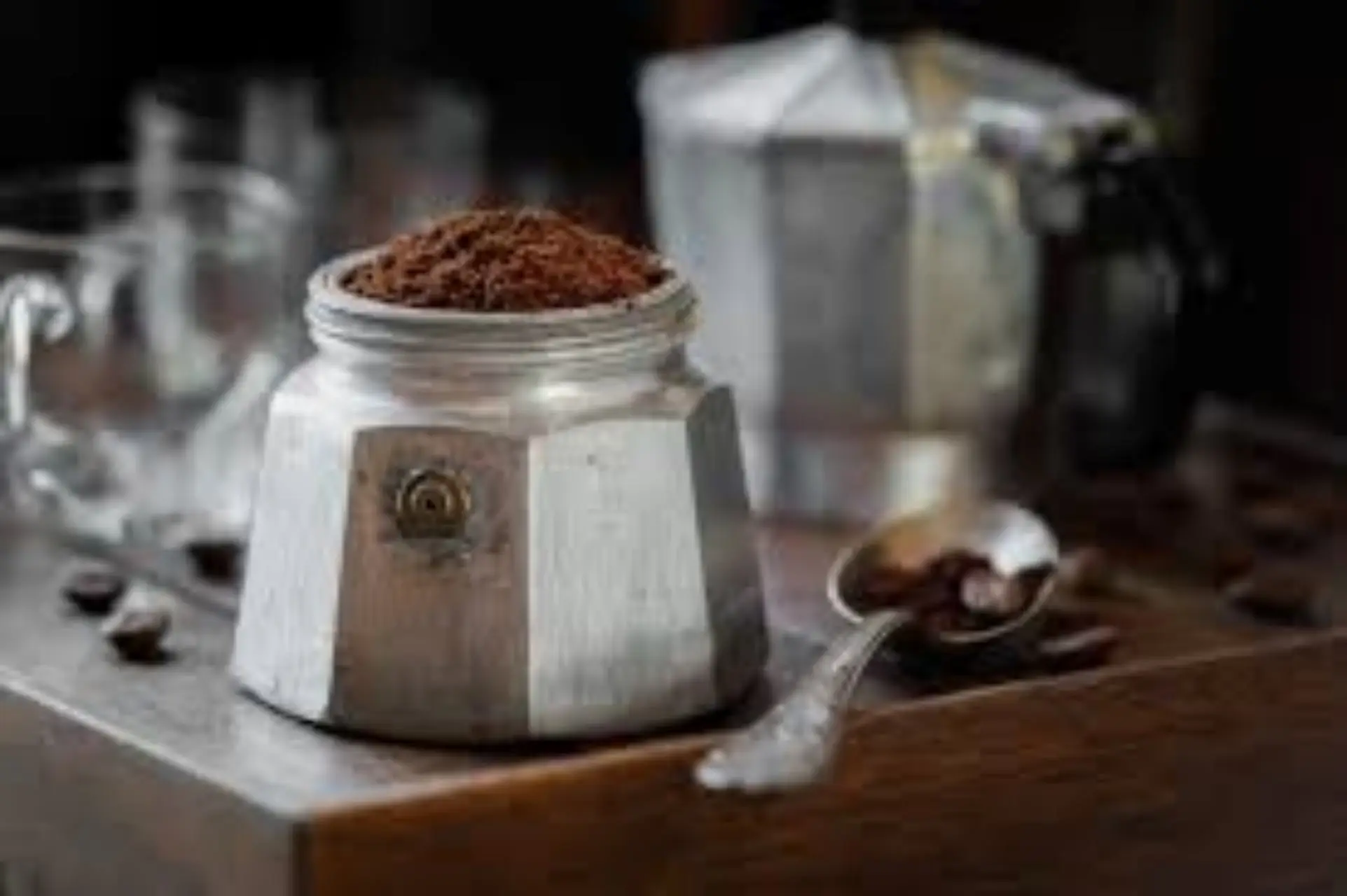Fondi di caffè in giardino: ecco quali piante rispondono meglio Fondi di caffè in giardino: ecco quali piante rispondono meglio