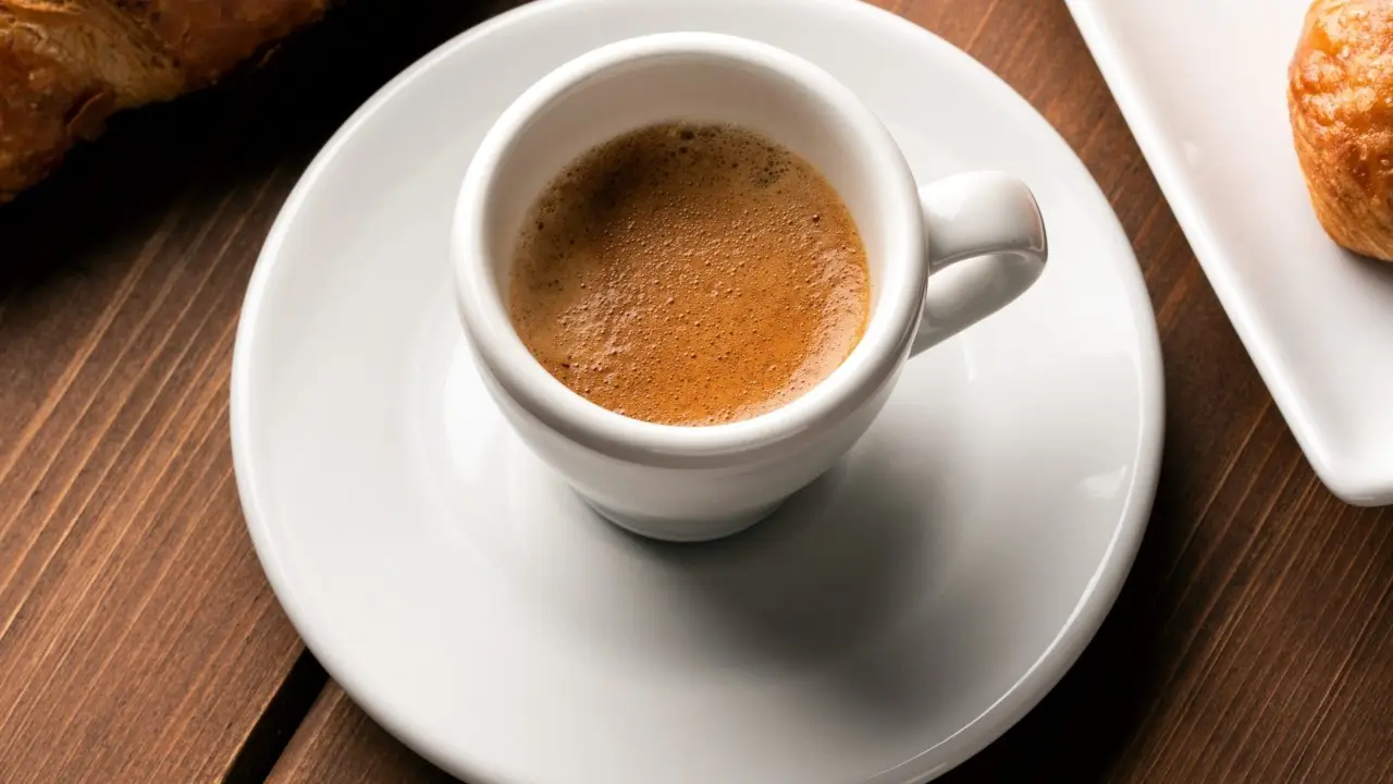 Come usare i fondi di caffè per piante più verdi e rigogliose Come usare i fondi di caffè per piante più verdi e rigogliose