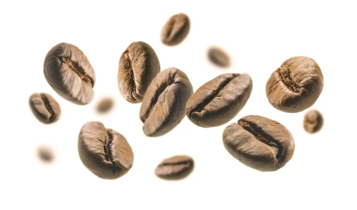 Fondi di caffè + bucce d’arancia: il fertilizzante naturale che funziona Fondi di caffè + bucce d’arancia: il fertilizzante naturale che funziona