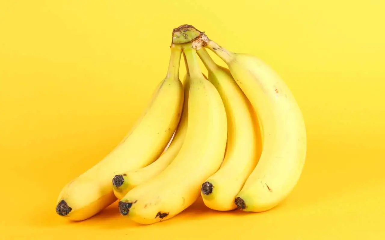 Non buttare le bucce di banana: il fertilizzante naturale che fa esplodere la fioritura Non buttare le bucce di banana: il fertilizzante naturale che fa esplodere la fioritura