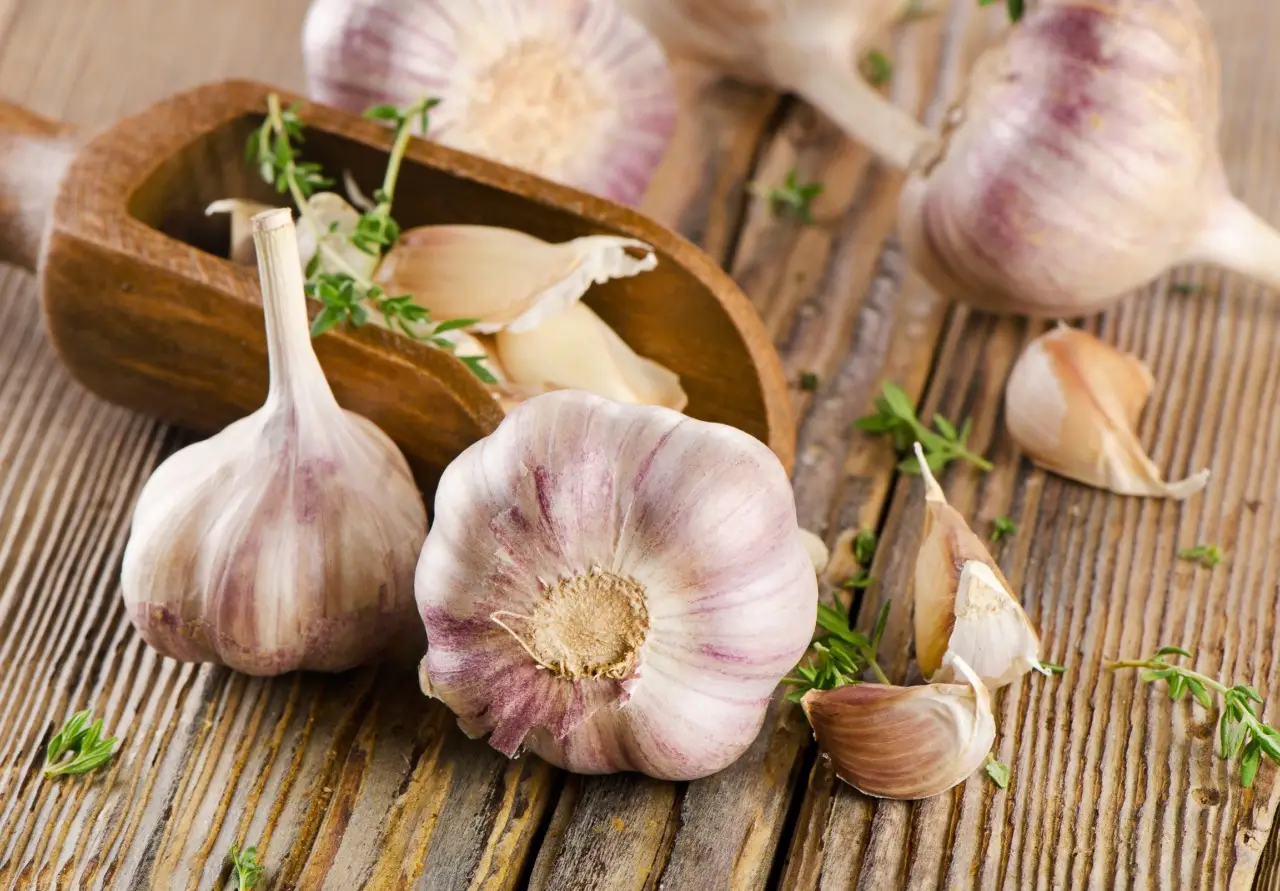 Come usare l’aglio per proteggere le piante: il trattamento naturale spiegato dagli esperti Come usare l’aglio per proteggere le piante: il trattamento naturale spiegato dagli esperti