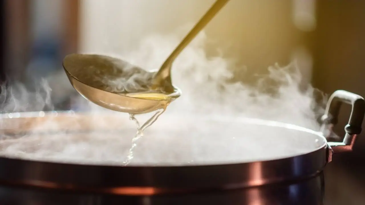 Come usare l’acqua di cottura della pasta per nutrire le piante (ma non tutte) Come usare l’acqua di cottura della pasta per nutrire le piante (ma non tutte)