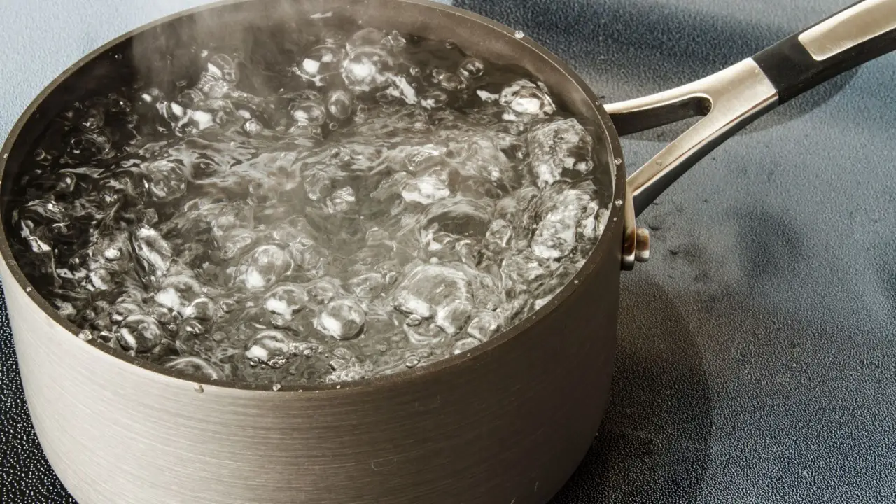 Annaffiare le piante con l’acqua di cottura: ecco cosa succede Annaffiare le piante con l’acqua di cottura: ecco cosa succede