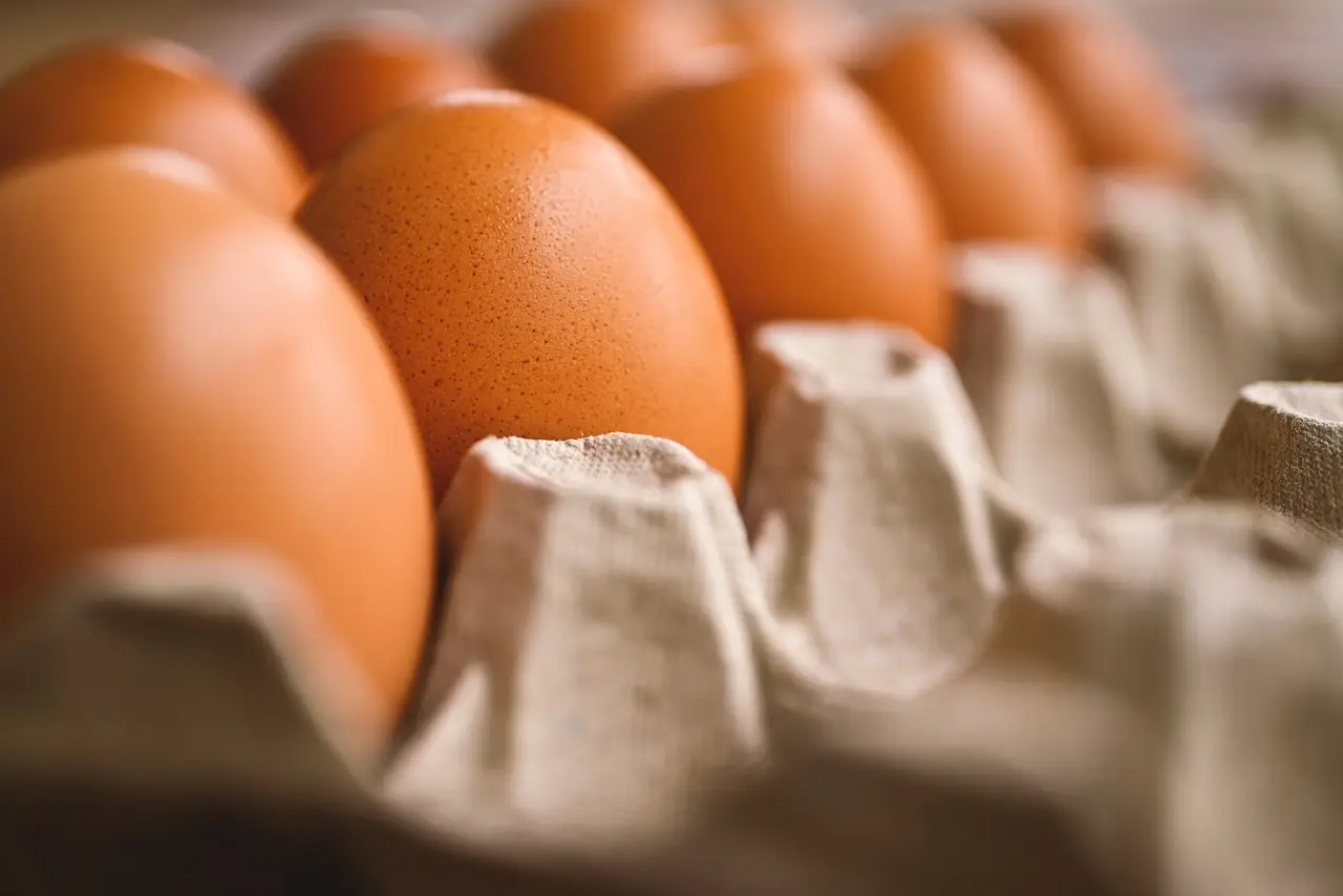 Cartoni delle uova in dispensa? I benefici nascosti per la gestione degli alimenti freschi Cartoni delle uova in dispensa? I benefici nascosti per la gestione degli alimenti freschi
