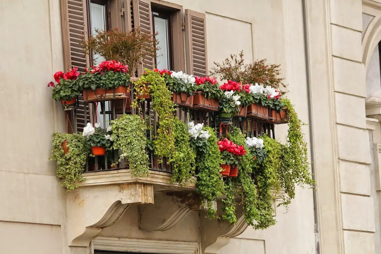 Residui di caffè nei vasi da balcone: scopri l’azione inaspettata sul terreno Residui di caffè nei vasi da balcone: scopri l’azione inaspettata sul terreno