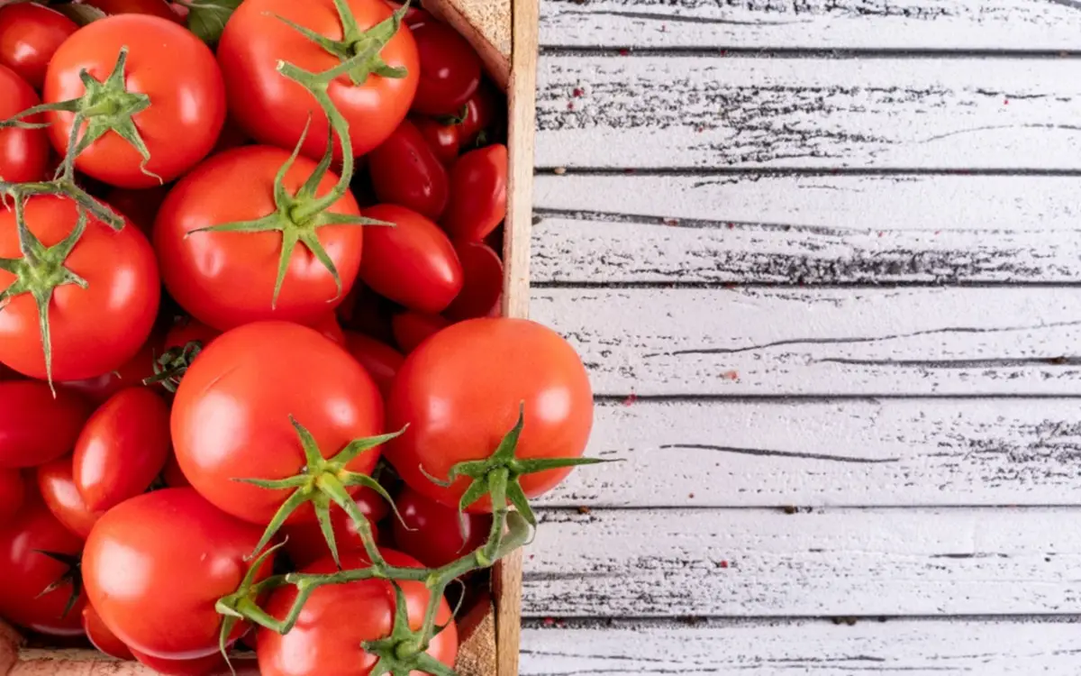 Svelato il trucco dei giardinieri per un raccolto di pomodori abbondante senza pesticidi Svelato il trucco dei giardinieri per un raccolto di pomodori abbondante senza pesticidi