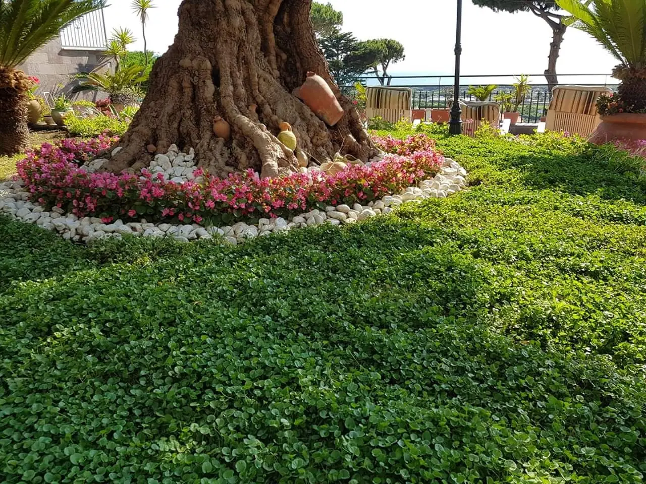 Così previeni il deterioramento delle tue piante aromatiche senza complicazioni inutili Così previeni il deterioramento delle tue piante aromatiche senza complicazioni inutili