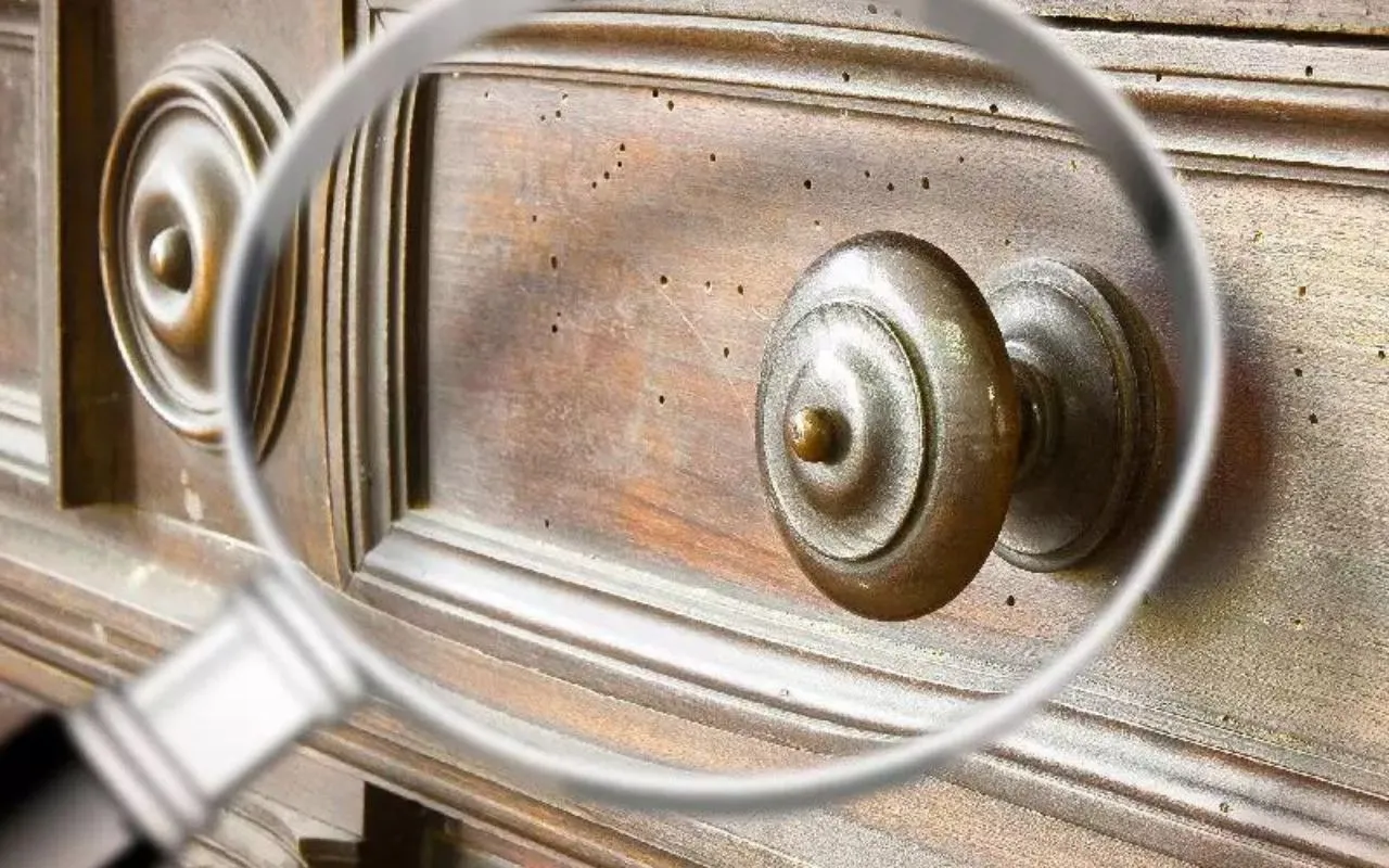 Previeni graffi e segni sui mobili con la soluzione facile raccomandata dagli artigiani