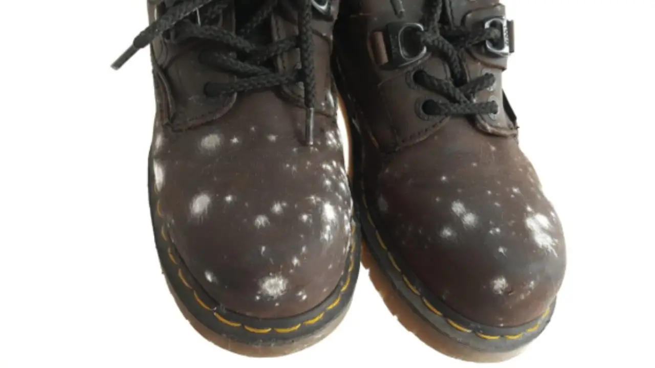 Evita la formazione di muffa sulle scarpe estive: il metodo già testato dai professionisti Evita la formazione di muffa sulle scarpe estive: il metodo già testato dai professionisti