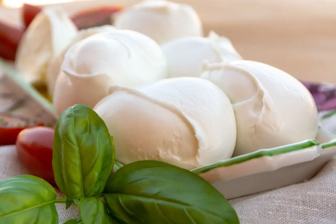Stai conservando male la mozzarella? Ecco la dritta veloce suggerita dai casari Stai conservando male la mozzarella? Ecco la dritta veloce suggerita dai casari