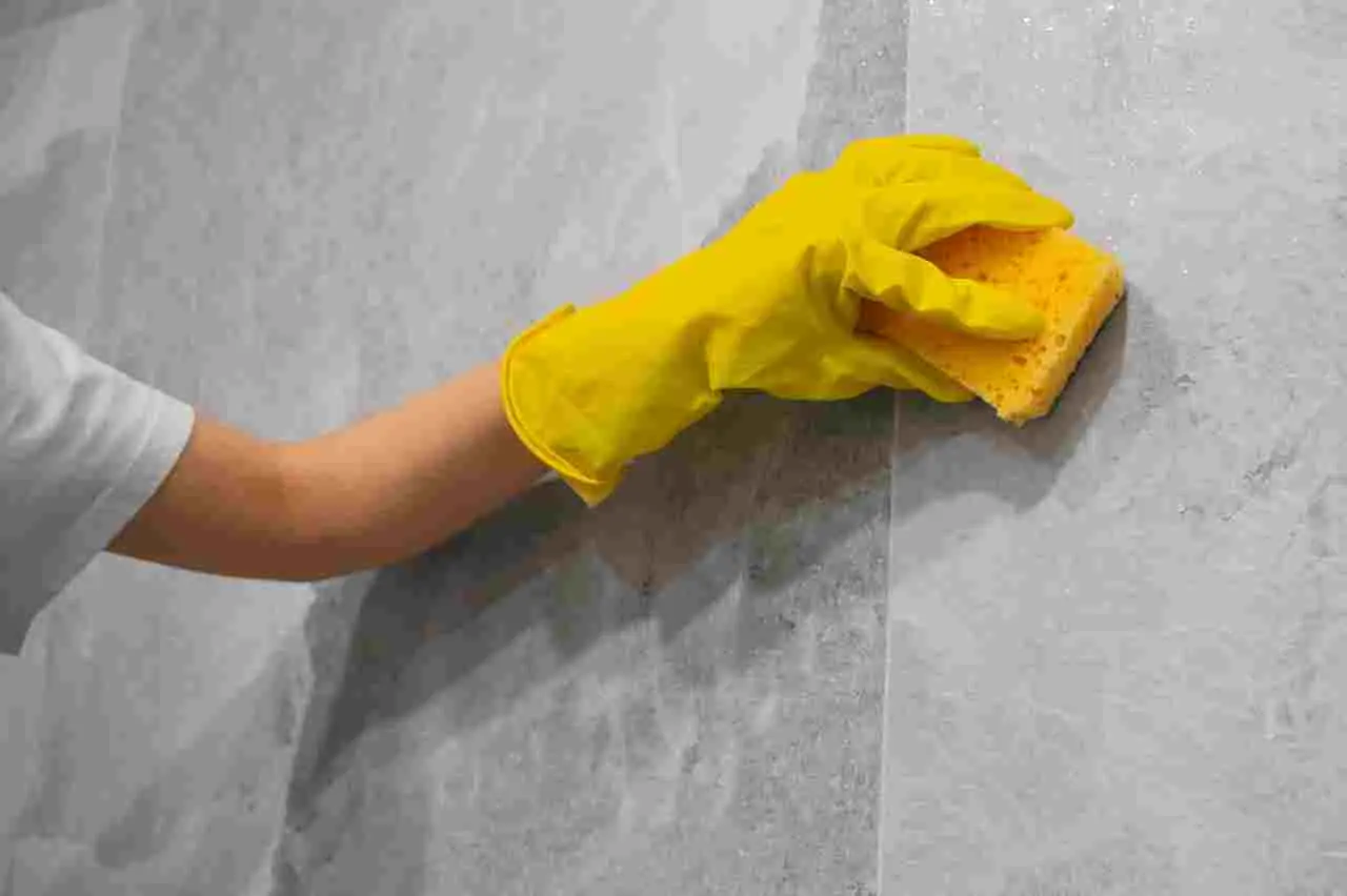Non trascurare questo passaggio nella pulizia del bagno: la differenza è garantita Non trascurare questo passaggio nella pulizia del bagno: la differenza è garantita