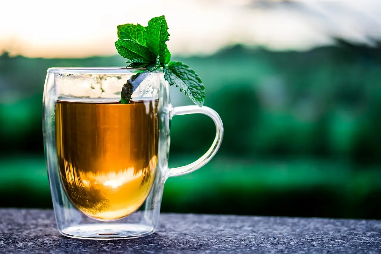 Scopri la tisana alla menta fresca che favorisce la digestione nei mesi caldi