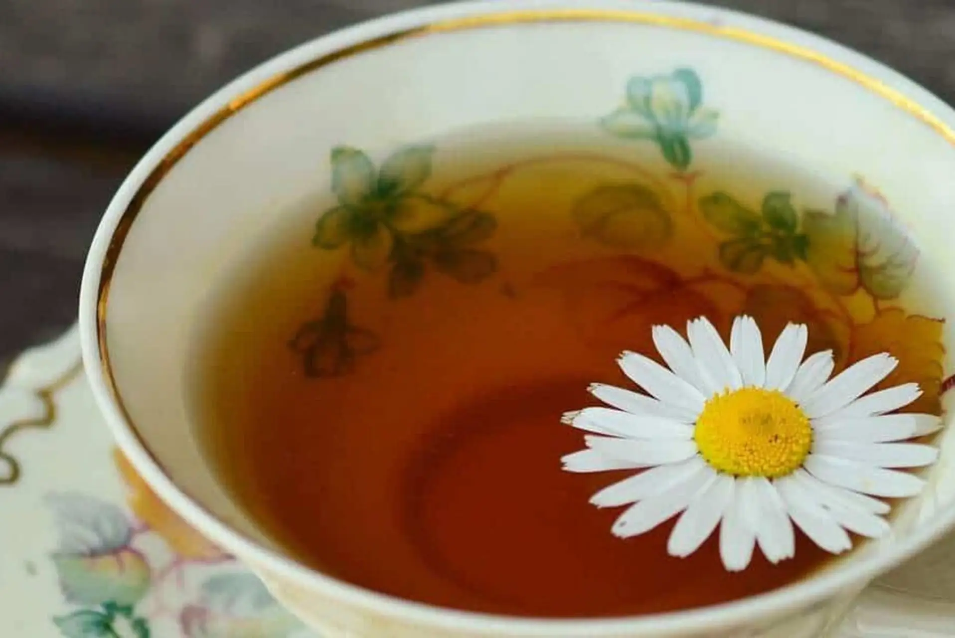 Idrolato di camomilla: il segreto naturale per ortensie dai colori intensi