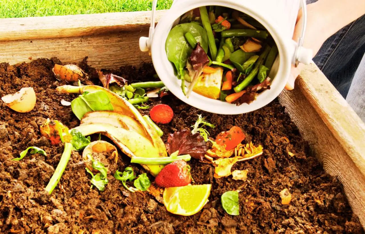 Come ridurre le spese in giardinaggio: realizza compost naturale partendo dagli scarti della frutta