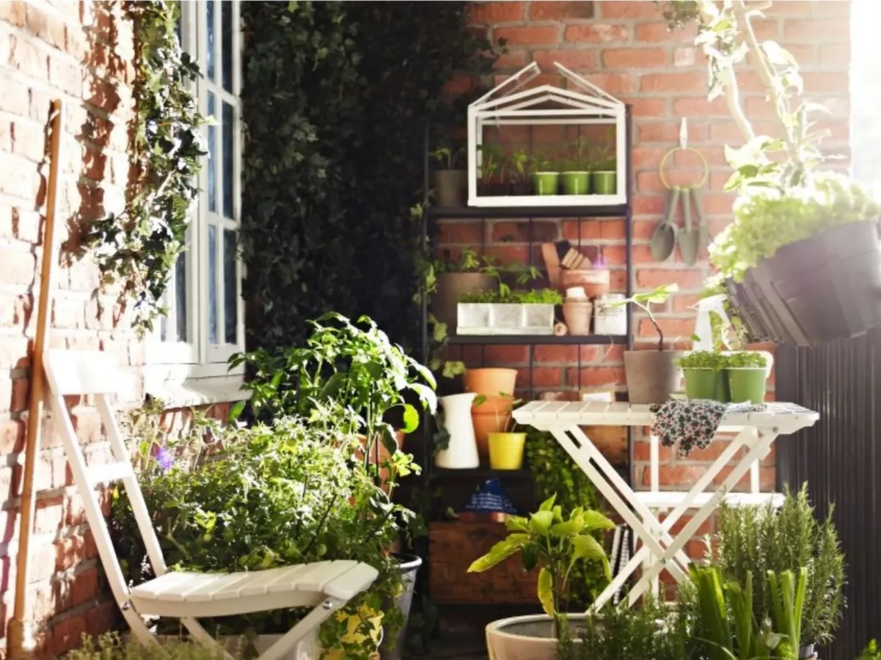 Vuoi un angolo verde senza fatica? Scegli queste piante da interno che richiedono poca acqua