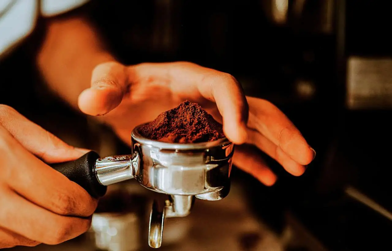 Quali piante aromatiche possono essere concimate con i fondi di caffè?