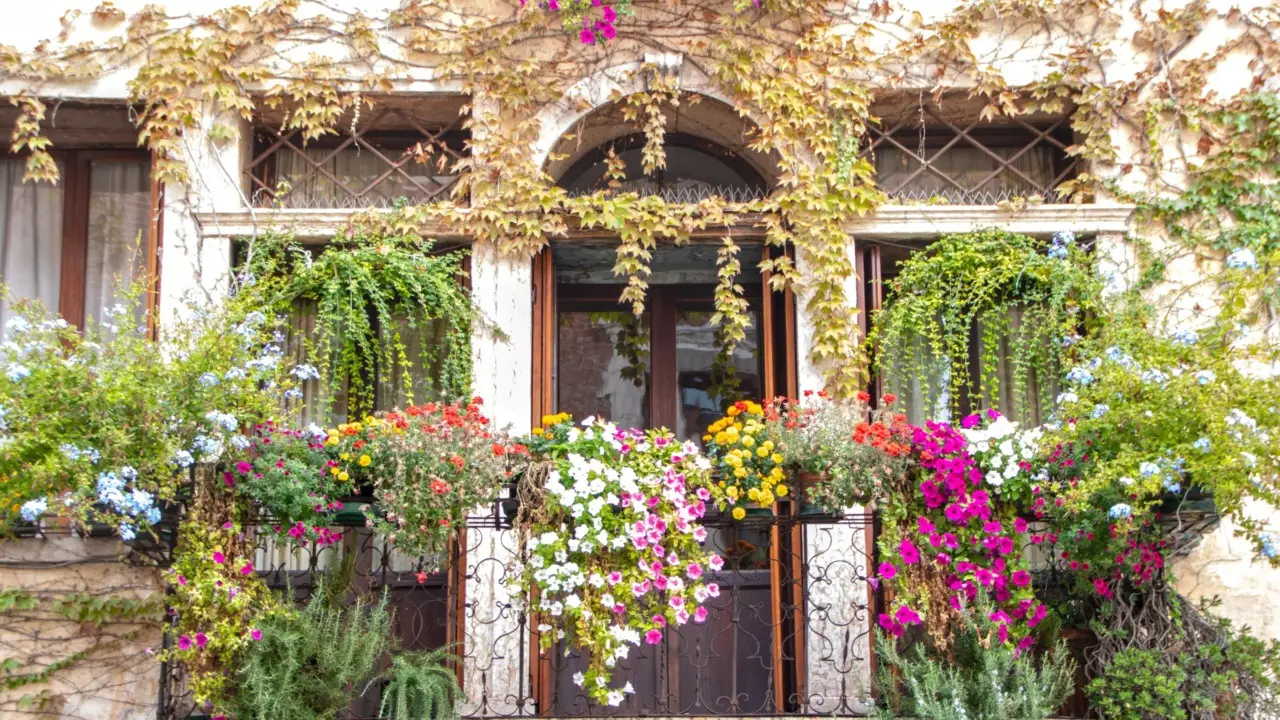Come profumare l’ingresso di casa con piante ornamentali: i consigli dei paesaggisti per l’estate Come profumare l’ingresso di casa con piante ornamentali: i consigli dei paesaggisti per l’estate