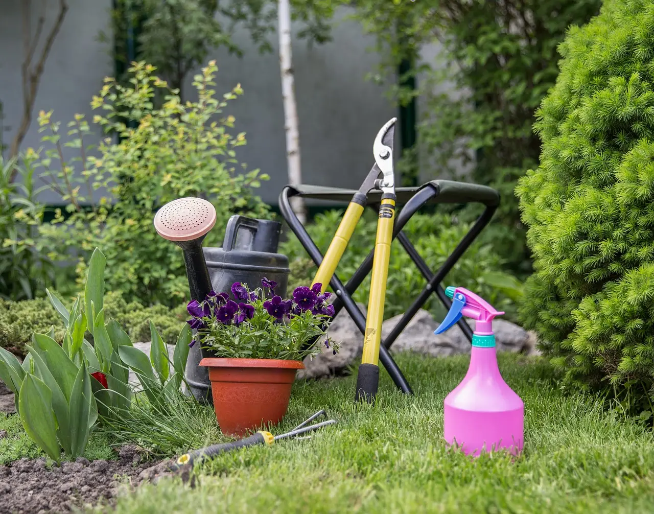 Come profumare l’ingresso di casa con piante ornamentali: la selezione dei paesaggisti per l’estate Come profumare l’ingresso di casa con piante ornamentali: la selezione dei paesaggisti per l’estate
