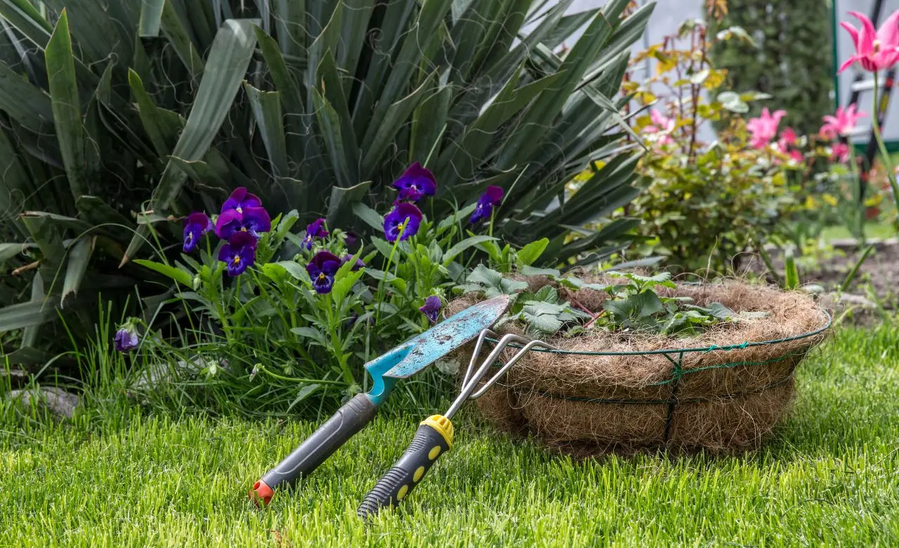 Come profumare l’ingresso di casa con piante ornamentali: la selezione dei paesaggisti per l’estate Come profumare l’ingresso di casa con piante ornamentali: la selezione dei paesaggisti per l’estate