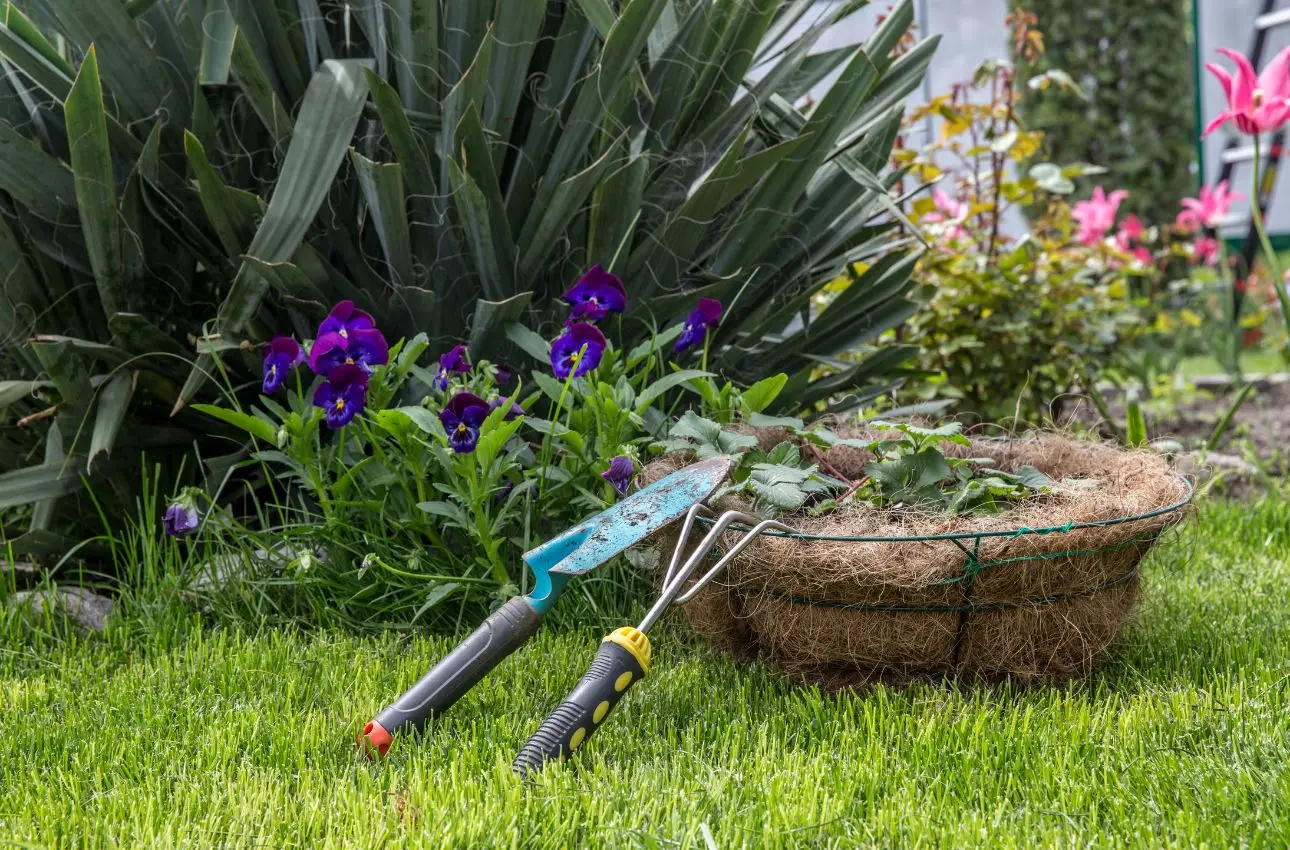 Come profumare l’ingresso di casa con piante ornamentali: la selezione dei paesaggisti per l’estate Come profumare l’ingresso di casa con piante ornamentali: la selezione dei paesaggisti per l’estate