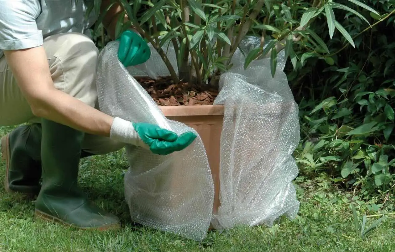 Come difendere le radici delle piante aromatiche dal caldo di giugno: ecco il metodo pratico Come difendere le radici delle piante aromatiche dal caldo di giugno: ecco il metodo pratico
