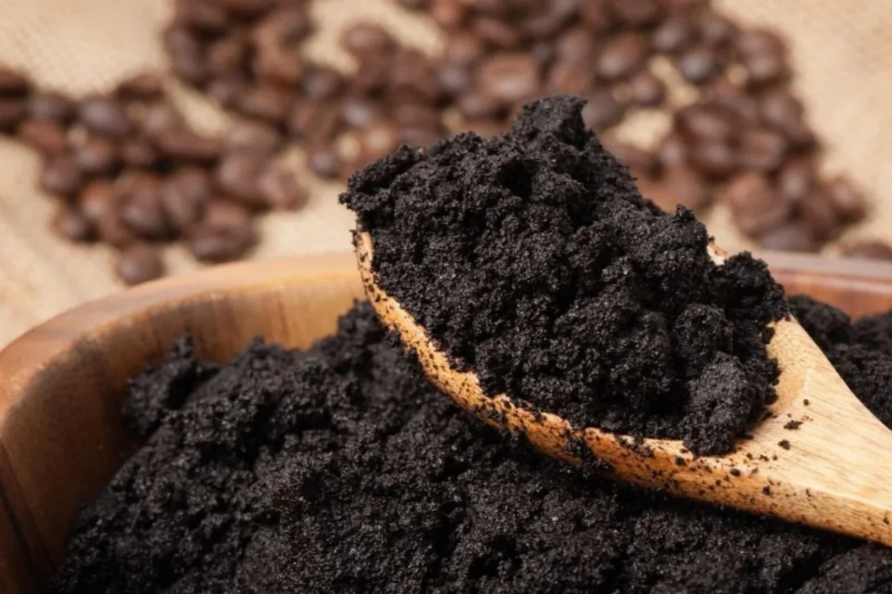 Fondi di caffè nel terriccio: cosa succede davvero alle ortensie Fondi di caffè nel terriccio: cosa succede davvero alle ortensie