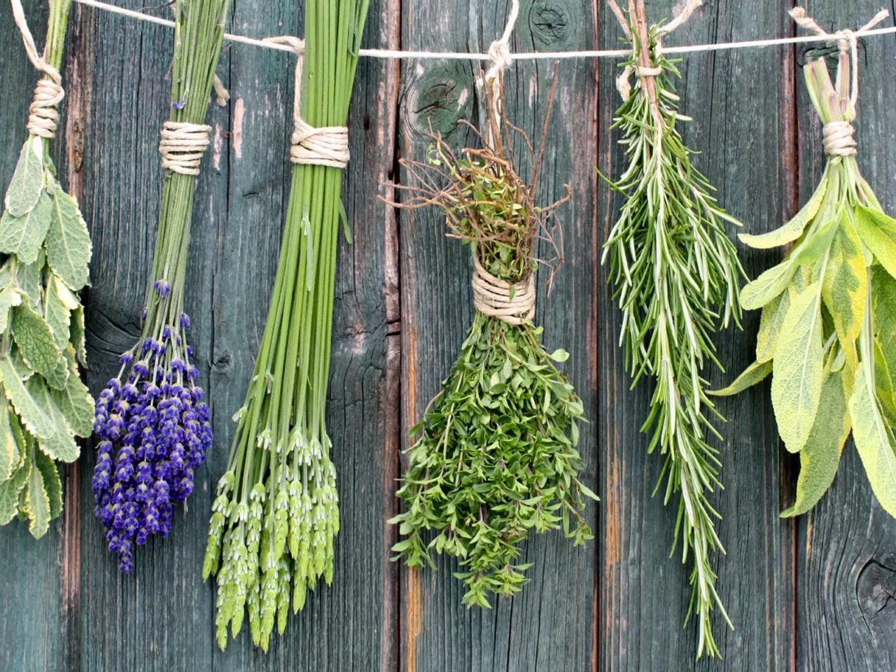 Come usare le erbe aromatiche per profumare casa e tenere lontani insetti Come usare le erbe aromatiche per profumare casa e tenere lontani insetti