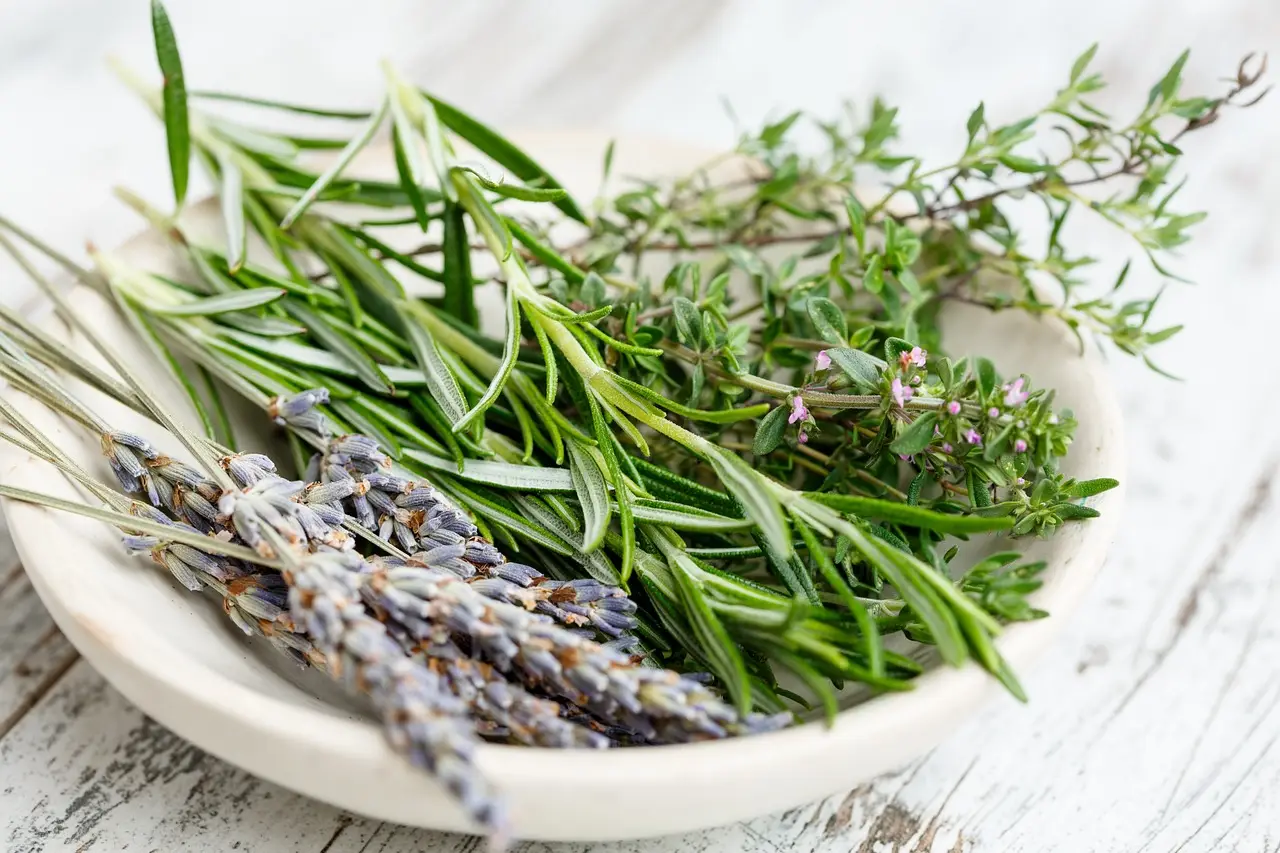 Come usare le erbe aromatiche per profumare casa e tenere lontani insetti Come usare le erbe aromatiche per profumare casa e tenere lontani insetti