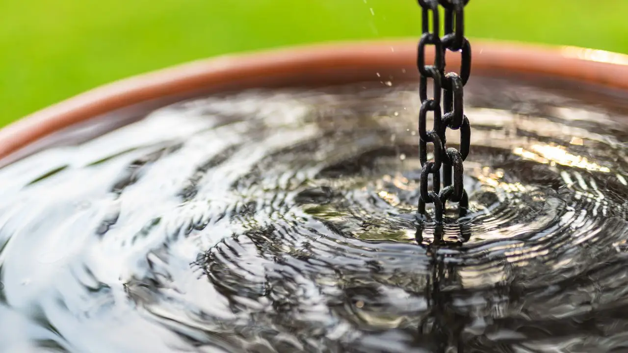 Cosa mettere nei sottovasi per tenere lontane zanzare e larve: il trucco dei giardinieri Cosa mettere nei sottovasi per tenere lontane zanzare e larve: il trucco dei giardinieri
