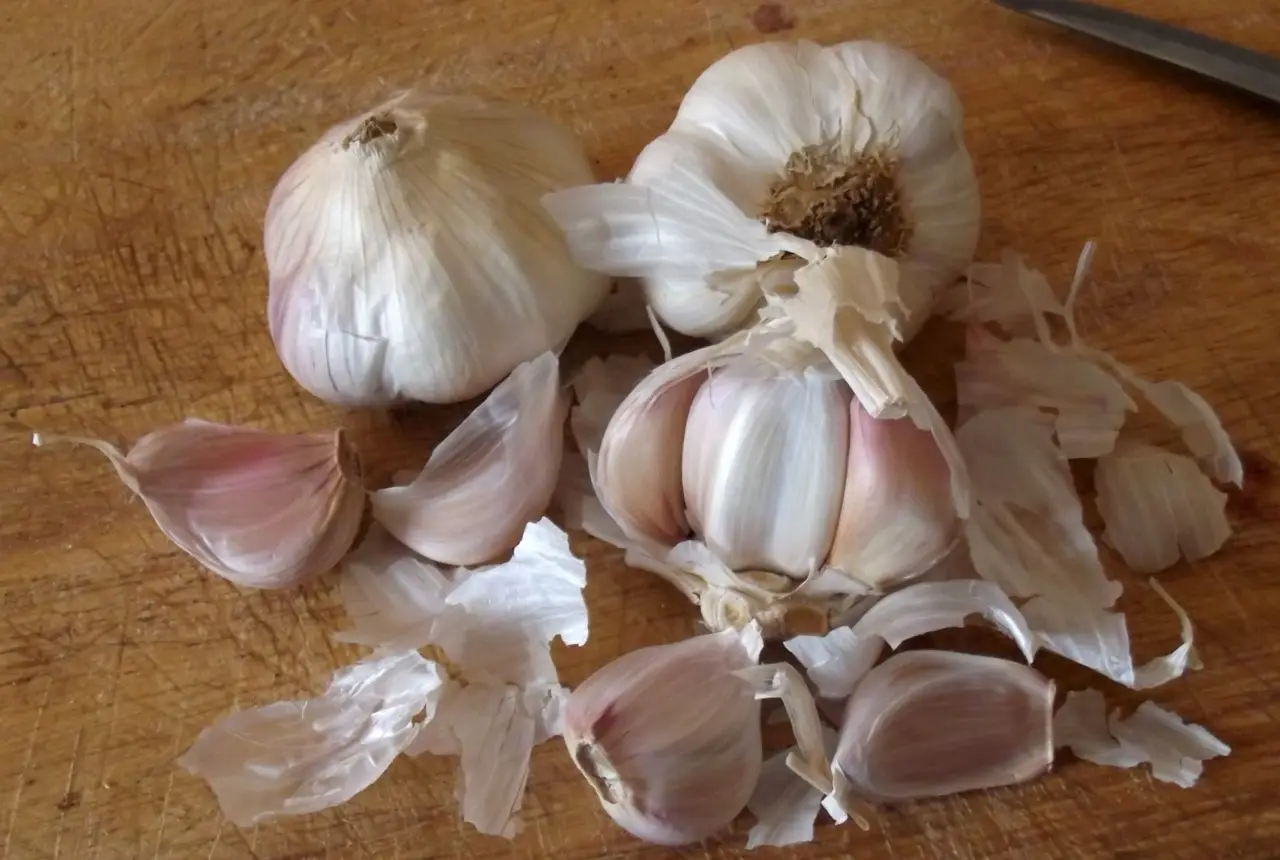 Come usare l’aglio per proteggere le piante: il trattamento naturale spiegato dagli esperti Come usare l’aglio per proteggere le piante: il trattamento naturale spiegato dagli esperti