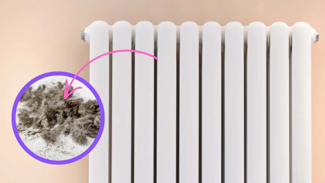 Vecchi calzini e termosifoni: il piccolo accorgimento per evitare consumi inutili Vecchi calzini e termosifoni: il piccolo accorgimento per evitare consumi inutili