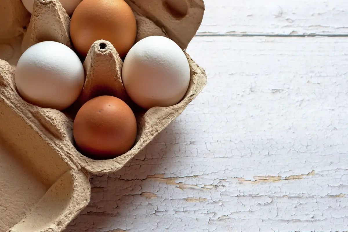 Cartoni delle uova in dispensa? I benefici nascosti per la gestione degli alimenti freschi Cartoni delle uova in dispensa? I benefici nascosti per la gestione degli alimenti freschi