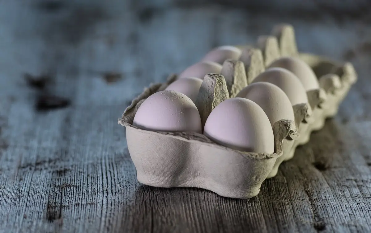 Cartoni delle uova in dispensa? I benefici nascosti per la gestione degli alimenti freschi Cartoni delle uova in dispensa? I benefici nascosti per la gestione degli alimenti freschi