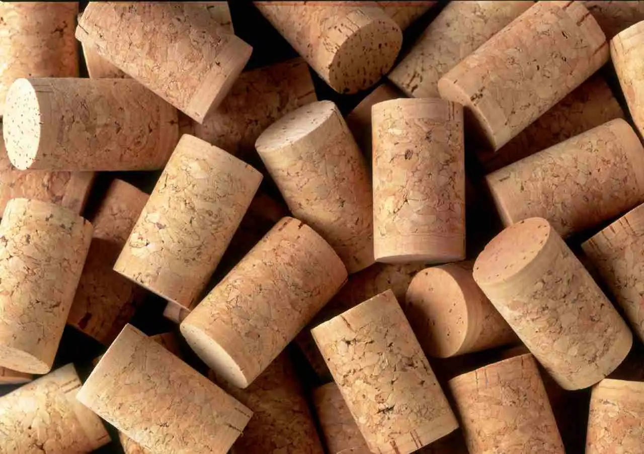 Tappi di sughero e credenze chiuse: il dettaglio sorprendente per respingere i tarli Tappi di sughero e credenze chiuse: il dettaglio sorprendente per respingere i tarli