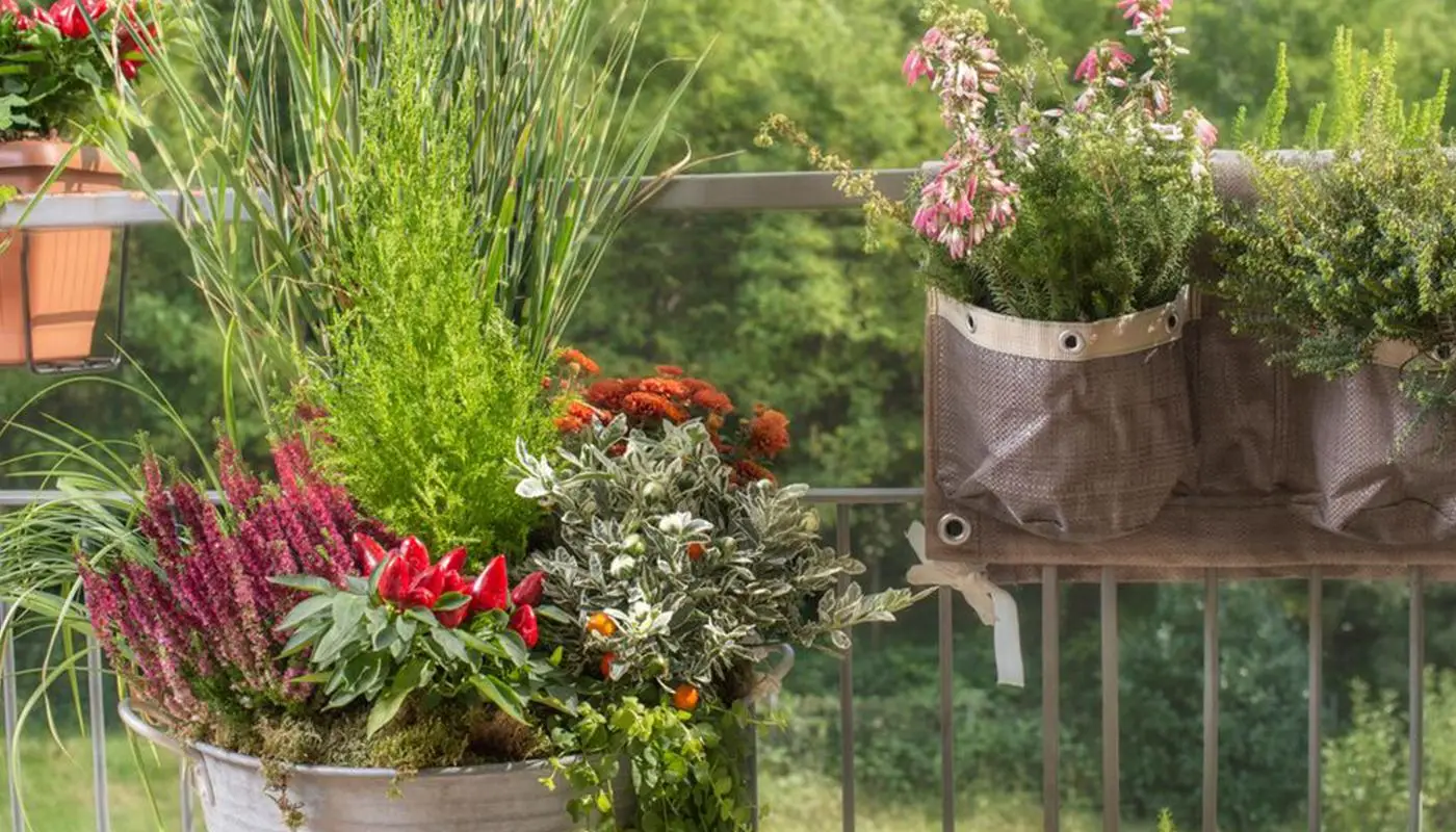 Tessuti vecchi riutilizzati nel giardino domestico: il trucco poco noto dei coltivatori Tessuti vecchi riutilizzati nel giardino domestico: il trucco poco noto dei coltivatori