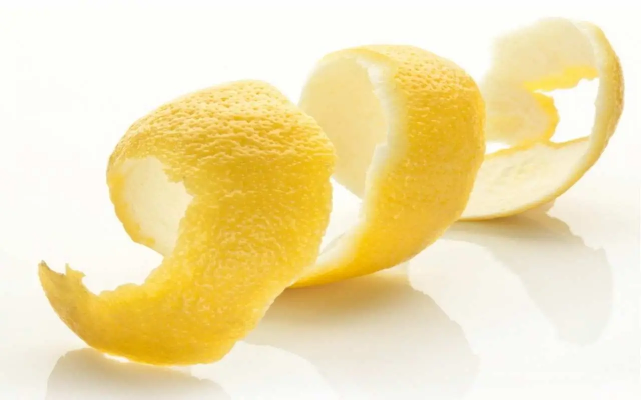 Scarti di limone in cucina: un alleato imprevisto contro l’insorgenza di formiche Scarti di limone in cucina: un alleato imprevisto contro l’insorgenza di formiche