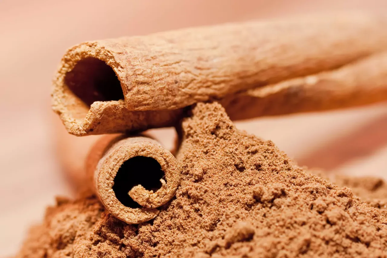 Prova il trucco antimuffa con bicarbonato e cannella: nessun rischio per le radici Prova il trucco antimuffa con bicarbonato e cannella: nessun rischio per le radici