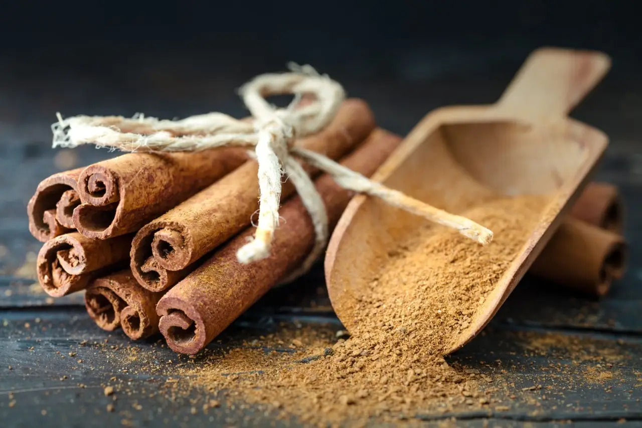 Prova il trucco antimuffa con bicarbonato e cannella: nessun rischio per le radici Prova il trucco antimuffa con bicarbonato e cannella: nessun rischio per le radici
