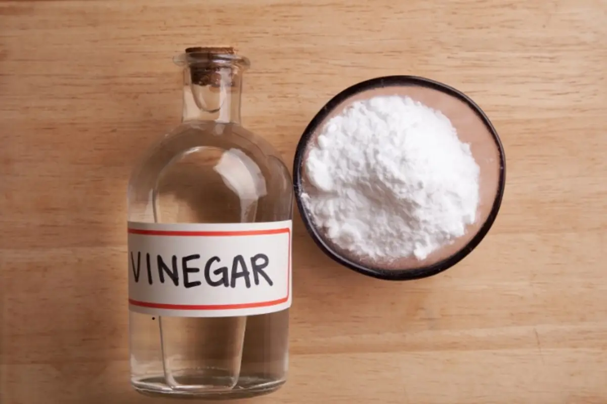 Prepara adesso lo spray anti-funghi con prodotti naturali che hai già in dispensa Prepara adesso lo spray anti-funghi con prodotti naturali che hai già in dispensa